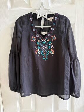 Eyeshadow Black Blouse with Multicolor Floral Embroidery
